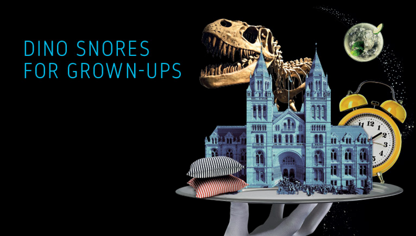 DinoSnores for adults at the Natural History Museum